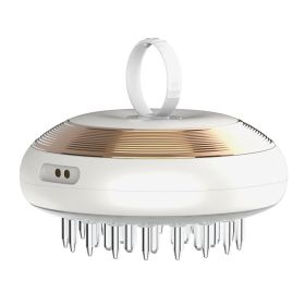 Multifunctional EMS Infrared Hair Generating Liquid Introducer Massage Comb (option: Withe gold-USB)