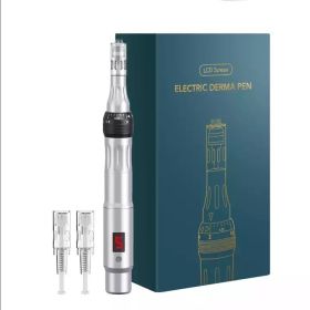 Charging P40 Electric Micro Needle Feijun Nano Beauty Micro Needle Pen Import Instrument (option: Silver-US)