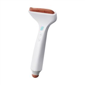 Electric Scraping Instrument Meridian Brush For Whole Body Universal (option: Red-USB)