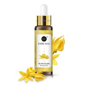Rose Lavender Aromatherapy Essential Oil With Dropper 10ml (option: Ylang Ylang-10ML)