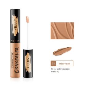 Concealer For Repairing Acne Marks With Concealer Solution (option: Cosmetic lotion)