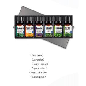 4 sticks essential oil set massage essential oil (option: 6pack)