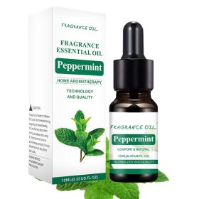 Water Soluble Essential Oil Humidifier Aromatherapy Machine Essential Oil Fragrance (option: Mint)