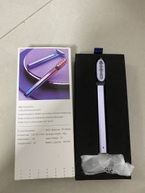 Micro Current Introduction Eye Massage Instrument (option: Purple-USB)