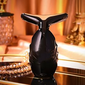 Ultrasonic Multifunctional Massage Inductive Therapeutical Instrument (option: HIH)
